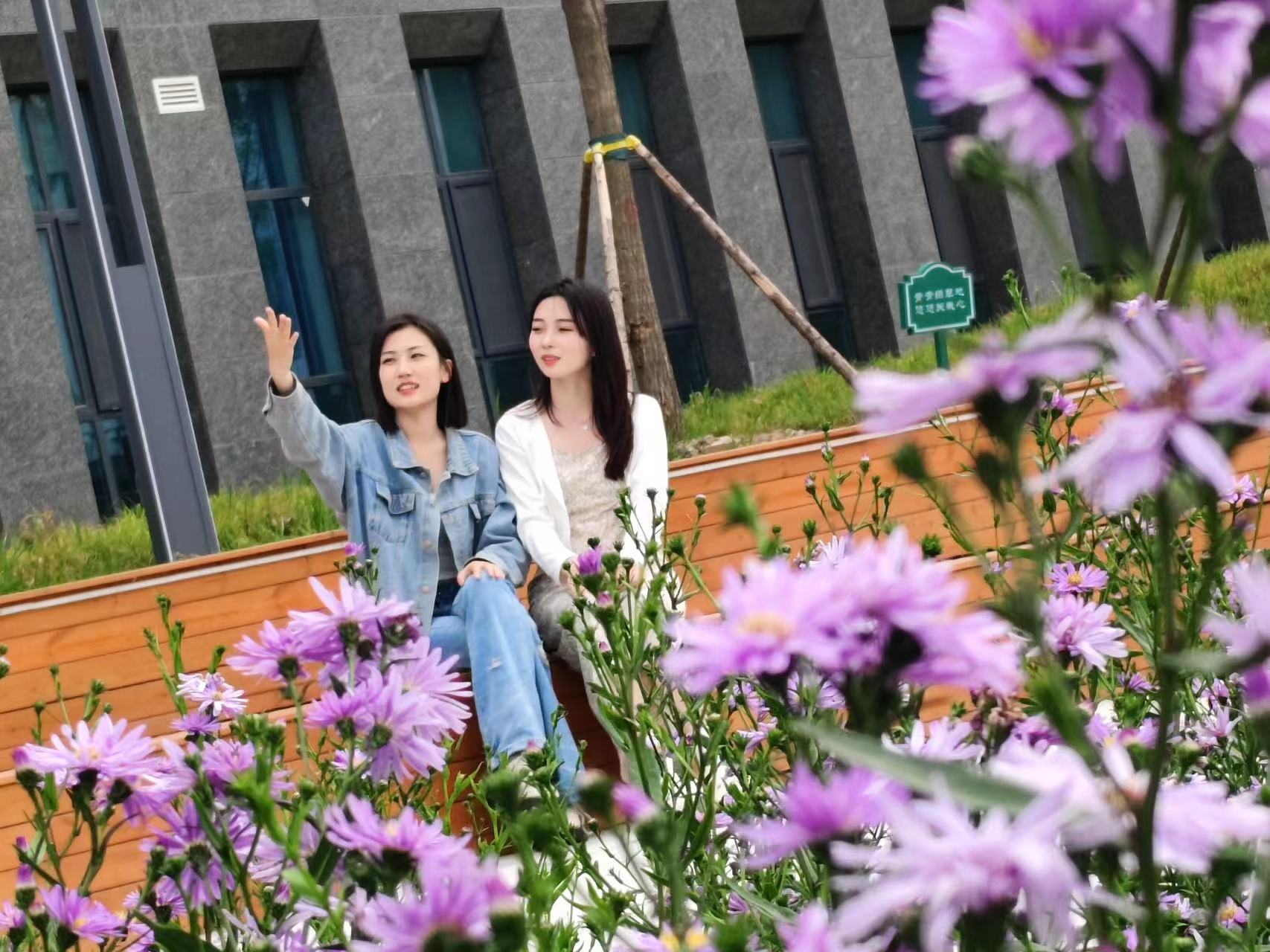 聊城大学东昌学院宣传片发布