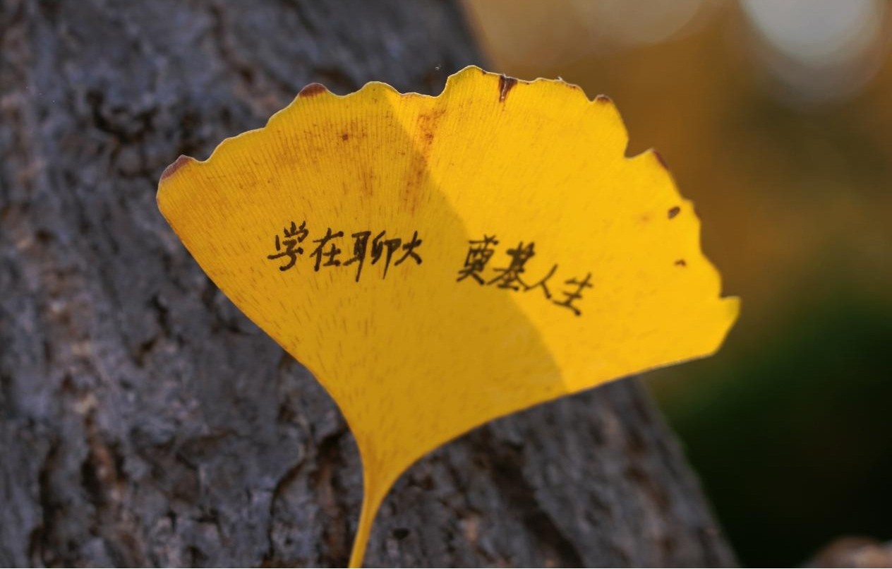 图片5.jpg