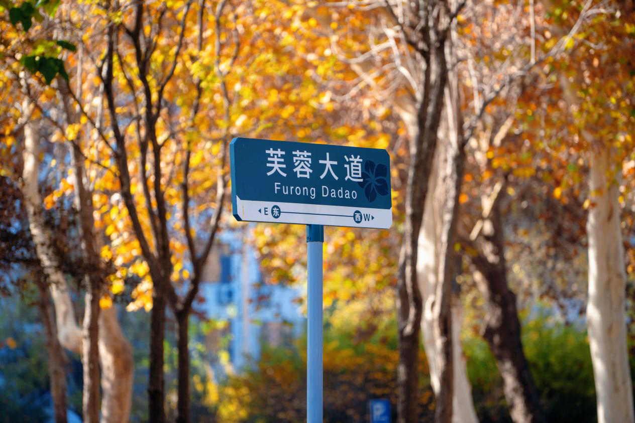 图片26.jpg