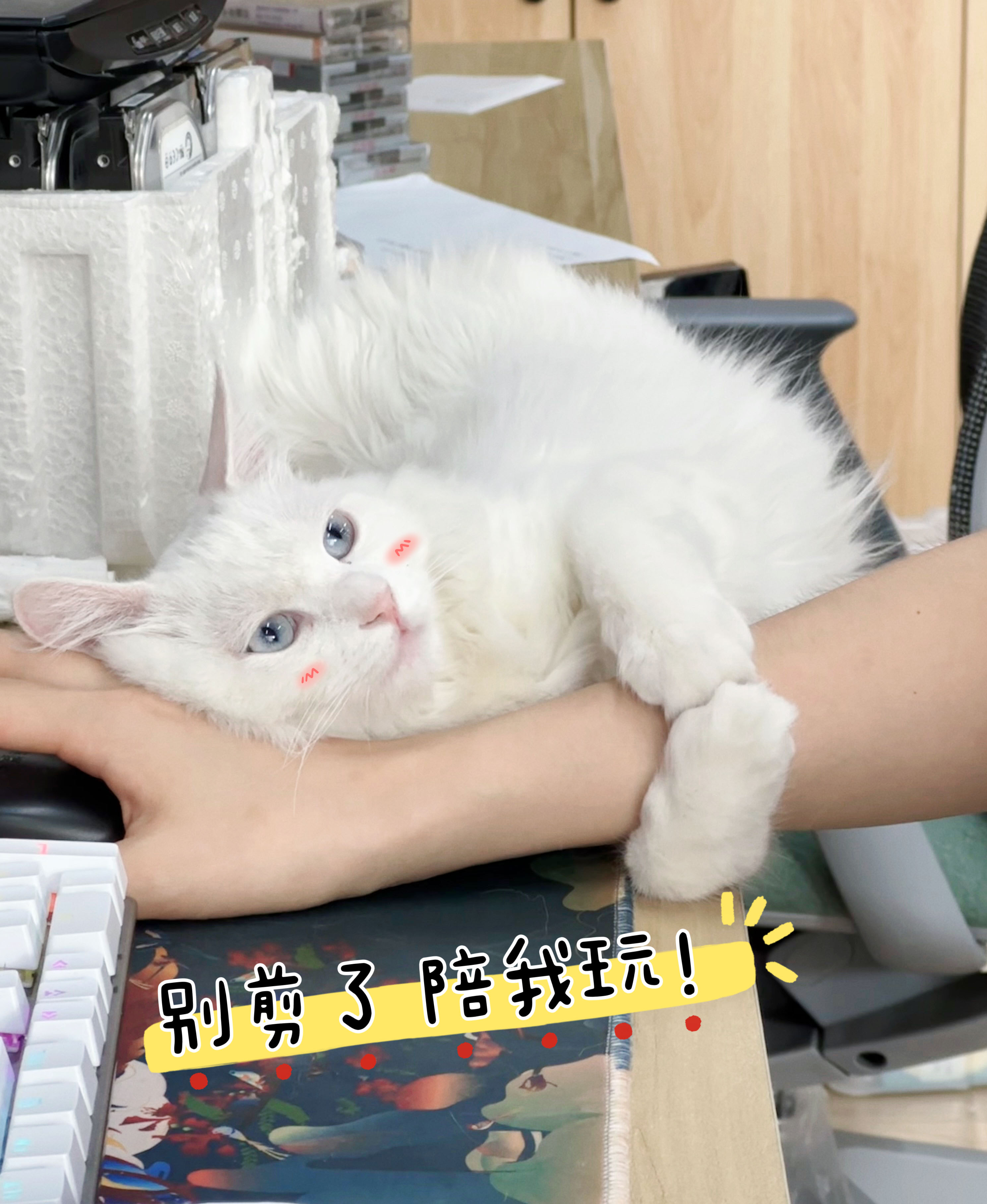 微信图片_20250124104406.jpg